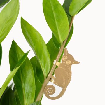 plant animal bush baby plantenbeestje goudkleurige messing planten accessoires plant animal