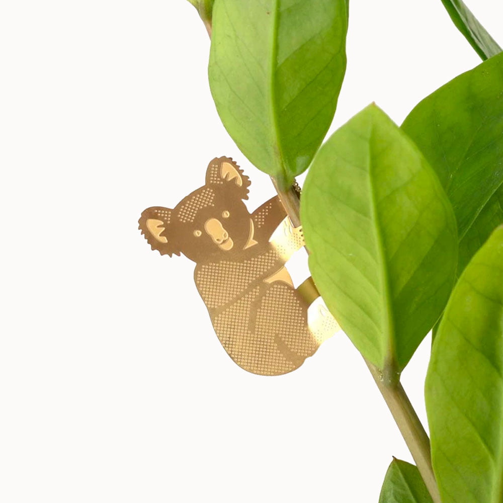 plant animal koala plantenbeestje goudkleurige messing planten accessoires plant animal