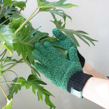 microvezel handschoen planten afstoffen botanopia stofhandschoen pynappel cadeau plantenliefhebber