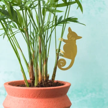 plant animal bush baby plantenbeestje pynappel