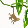 plant animal slingeraap plantenbeestje spider monkey pynappel